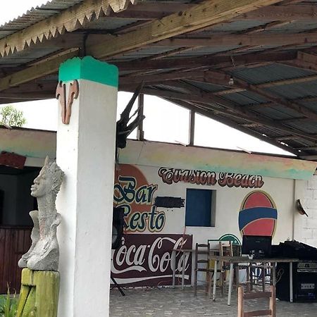 Evasion Beach Hotel Gressier المظهر الخارجي الصورة