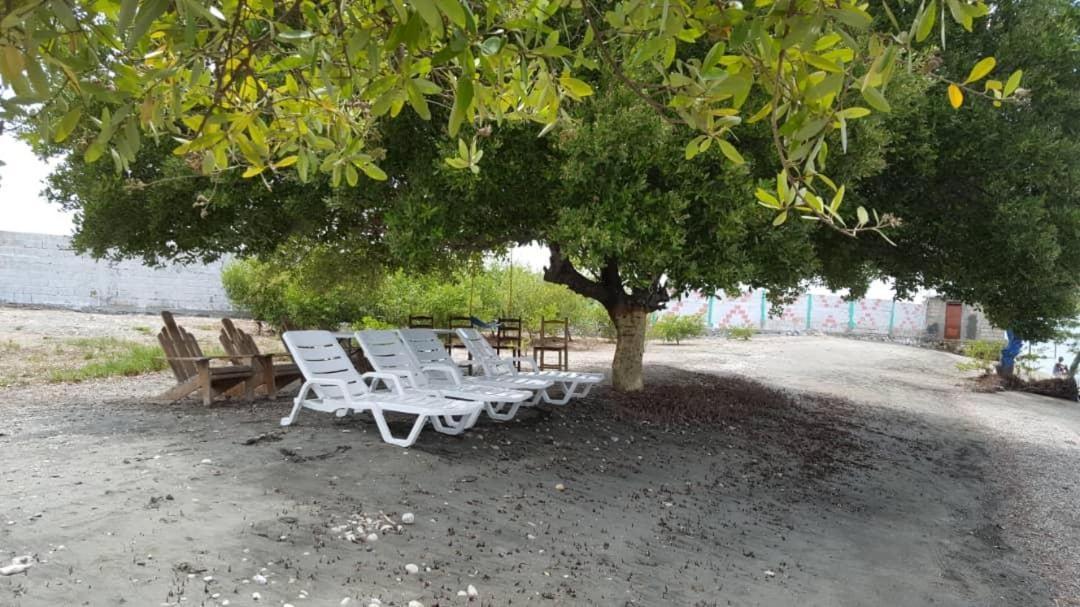 Evasion Beach Hotel Gressier المظهر الخارجي الصورة